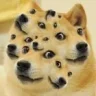hydra_doge
